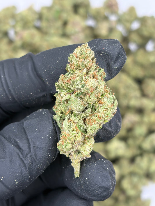 Barbie Doll Hemp Flower