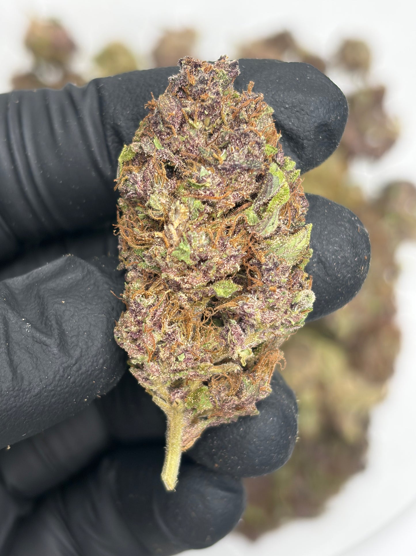 Blackberry OG Hemp Flower