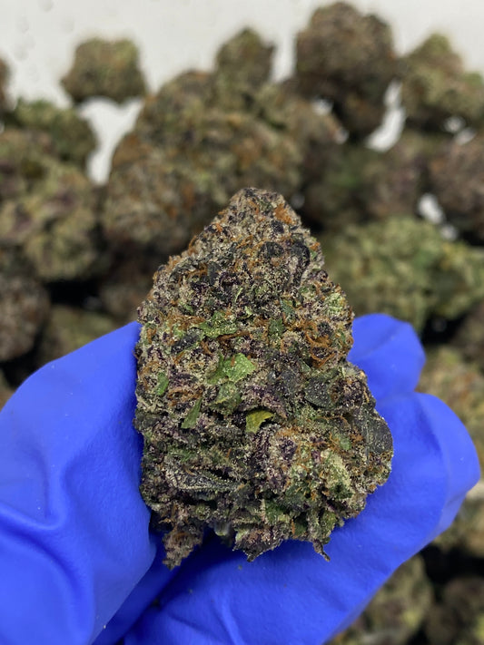 Black Cherry Gelato Hemp Flower