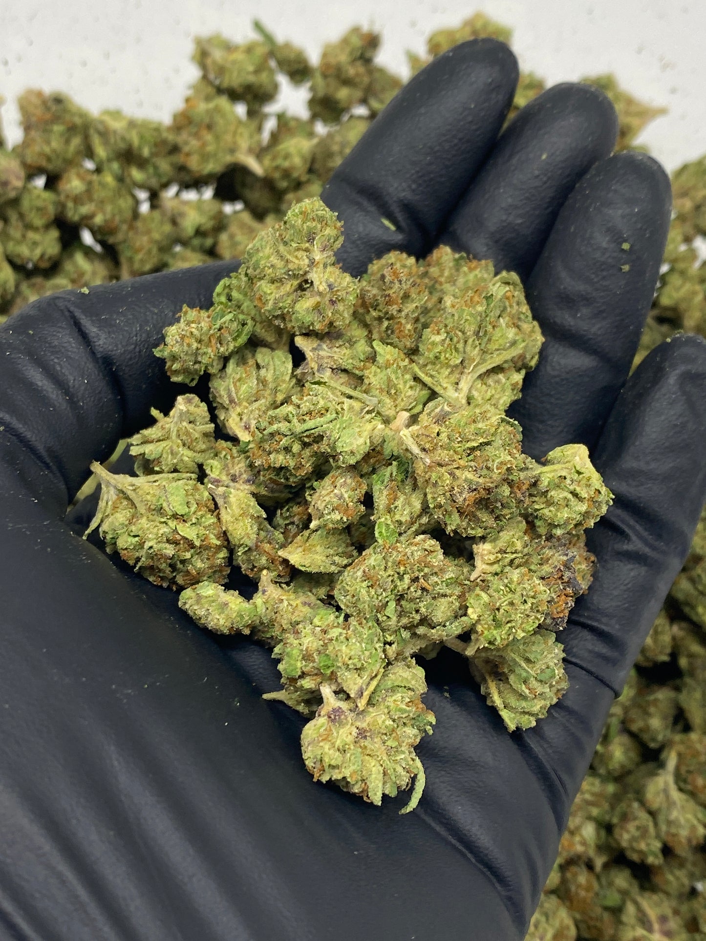 Candy Fumez Hemp Flower