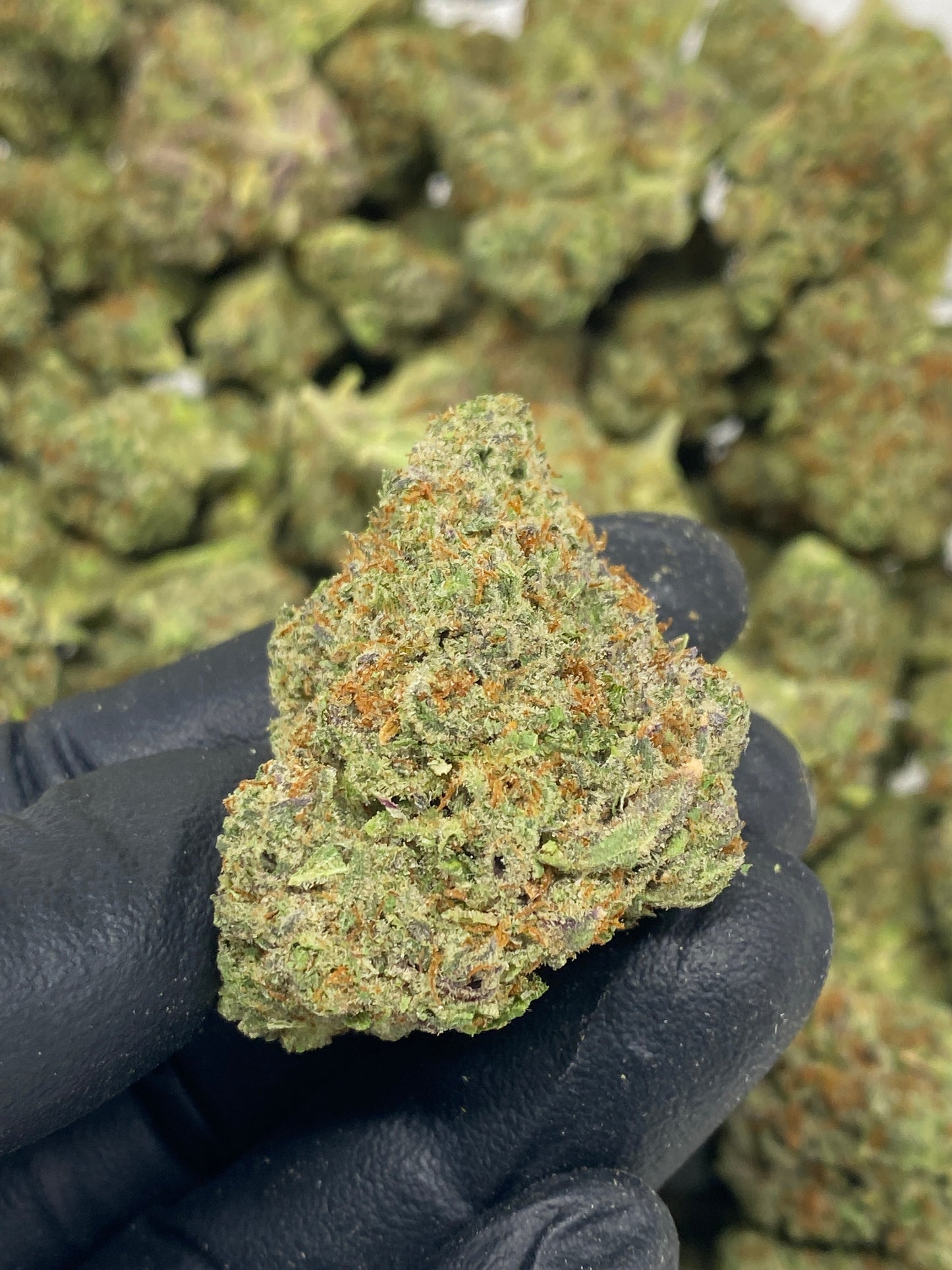 Pinyatti Hemp Flower