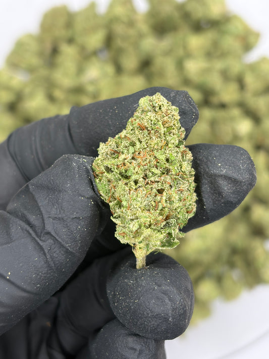 Lemon Venom Hemp Flower