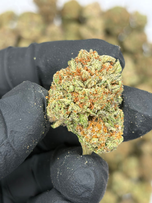 Purple Madonna Hemp Flower