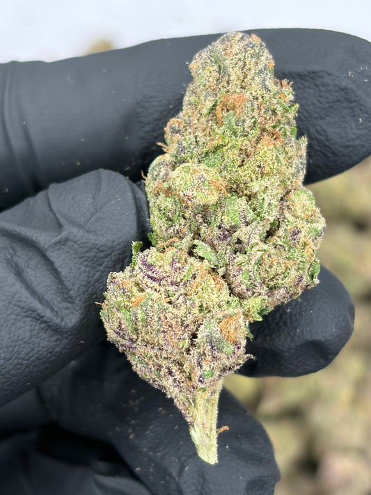 Purple Rock Candy Hemp Flower