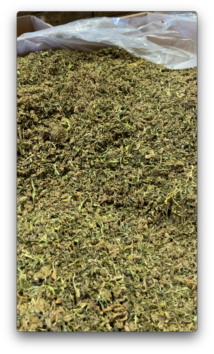 Bulk Hemp Biomass