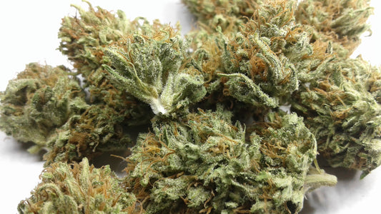 Ringo's Gift Premium CBD Flower