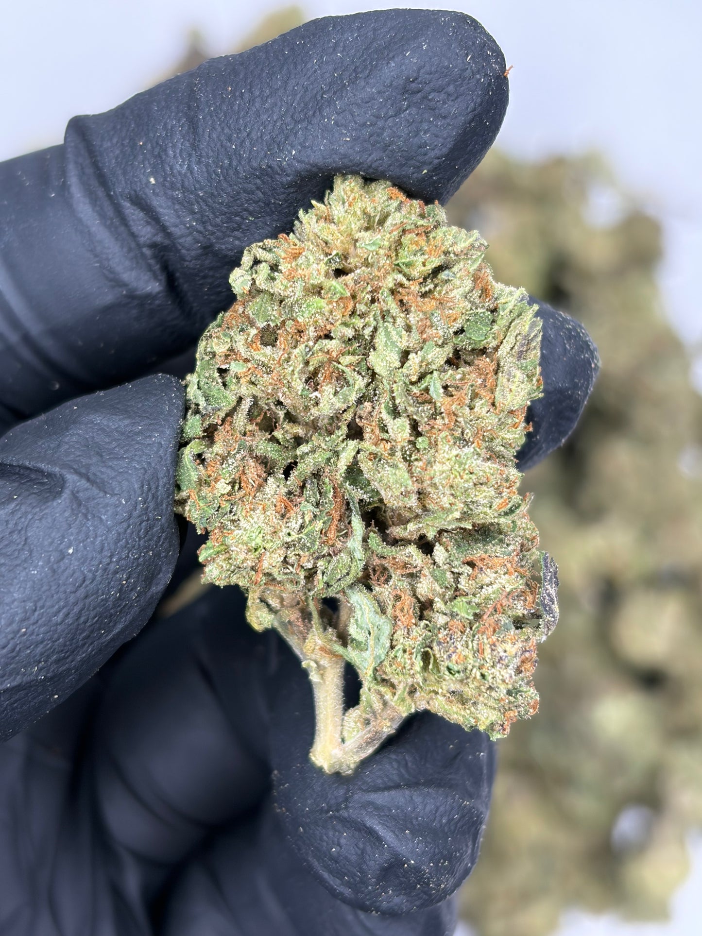 Baby Joker Hemp Flower