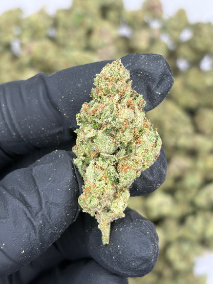 Barbie Doll Hemp Flower
