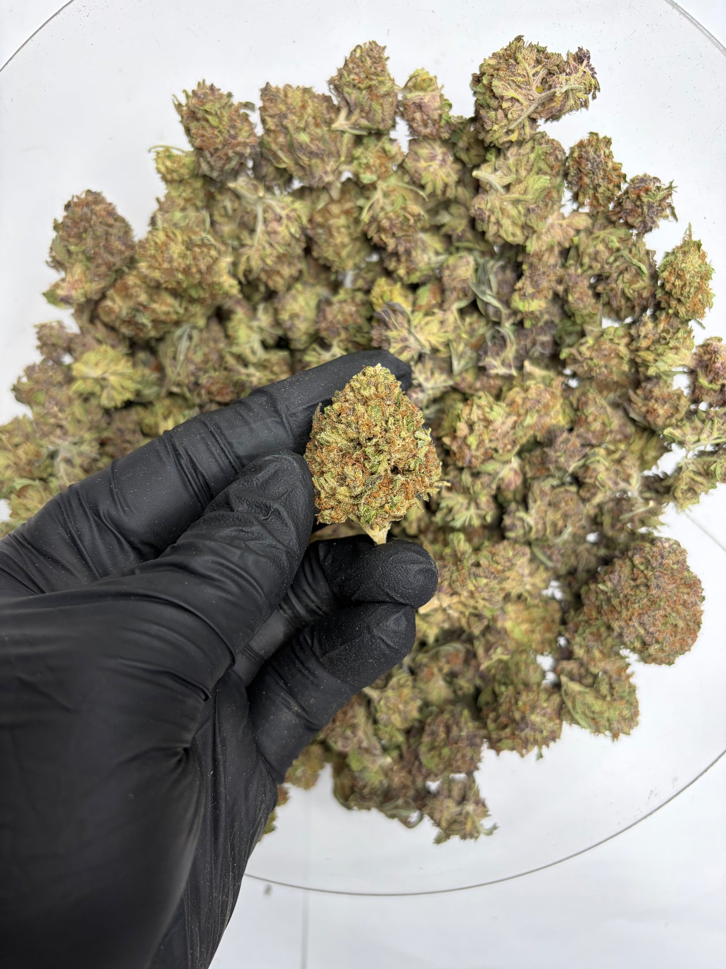 Chernobyl Hemp Flower