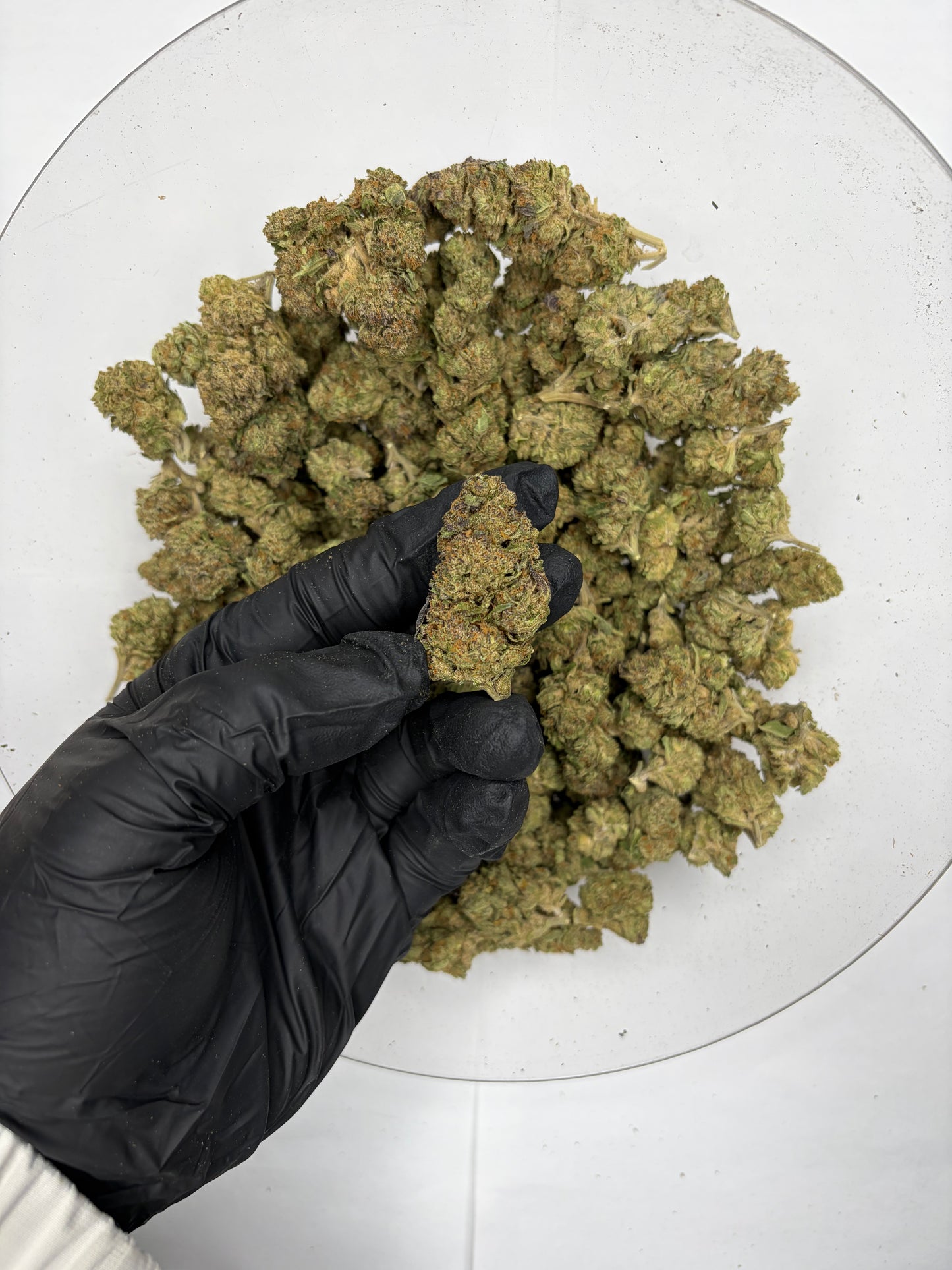 Dank Runtz Hemp Flower