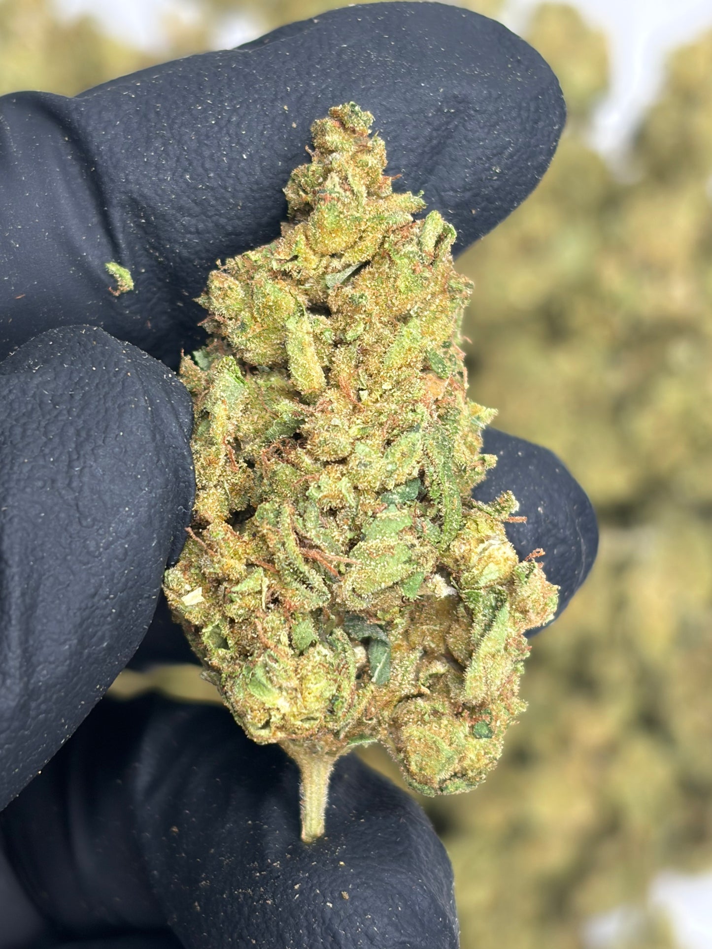 Doscotti Hemp Flower