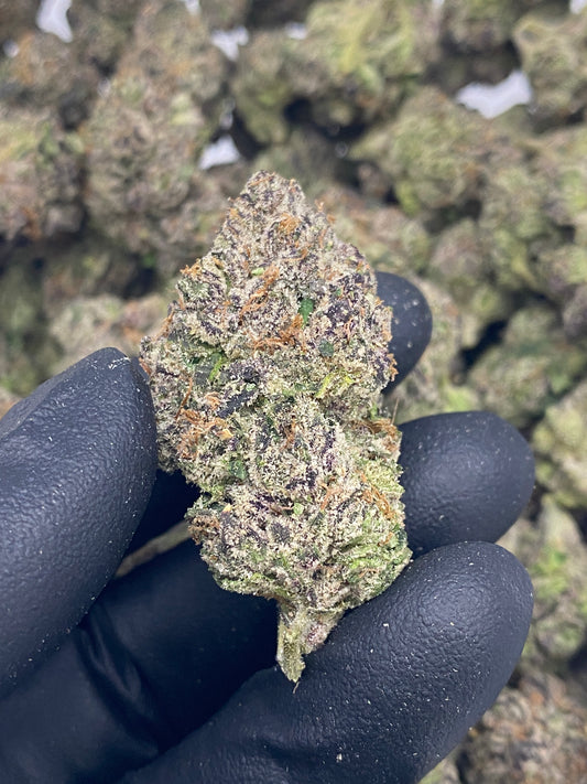 Lemon Cherry Gelato Hemp Flower