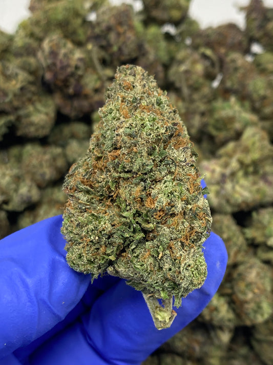 Gelato Hemp Flower