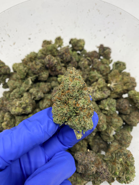 Gelato Hemp Flower