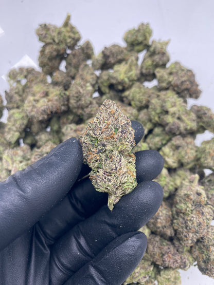 Lemon Cherry Gelato Hemp Flower