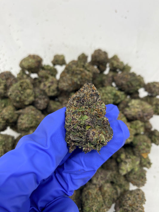 Black Cherry Gelato Hemp Flower