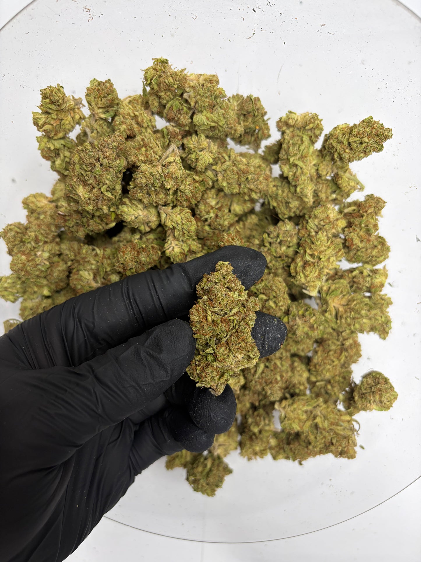 DU GU Hemp Flower
