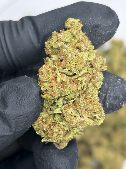 DU GU Hemp Flower