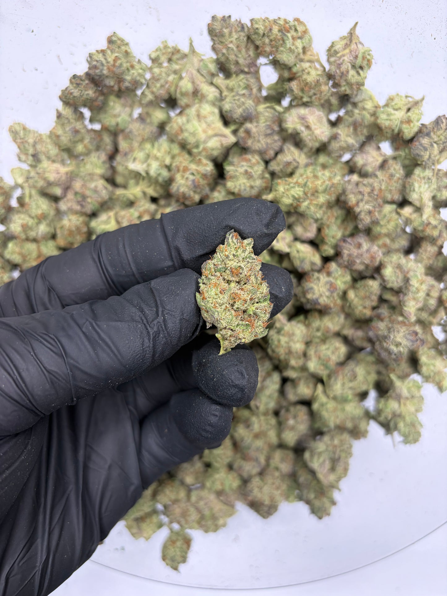 Gazzurple Hemp Flower