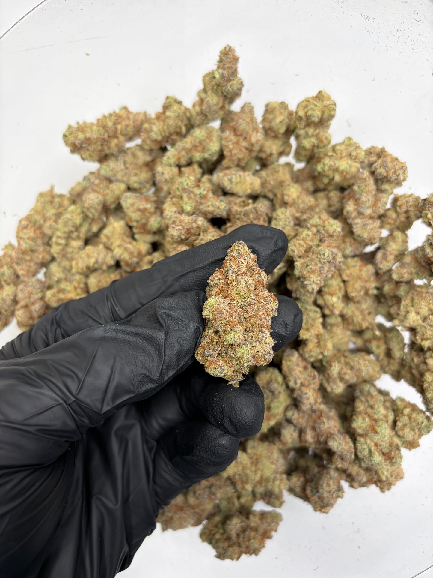 Grape Gas Hemp Flower