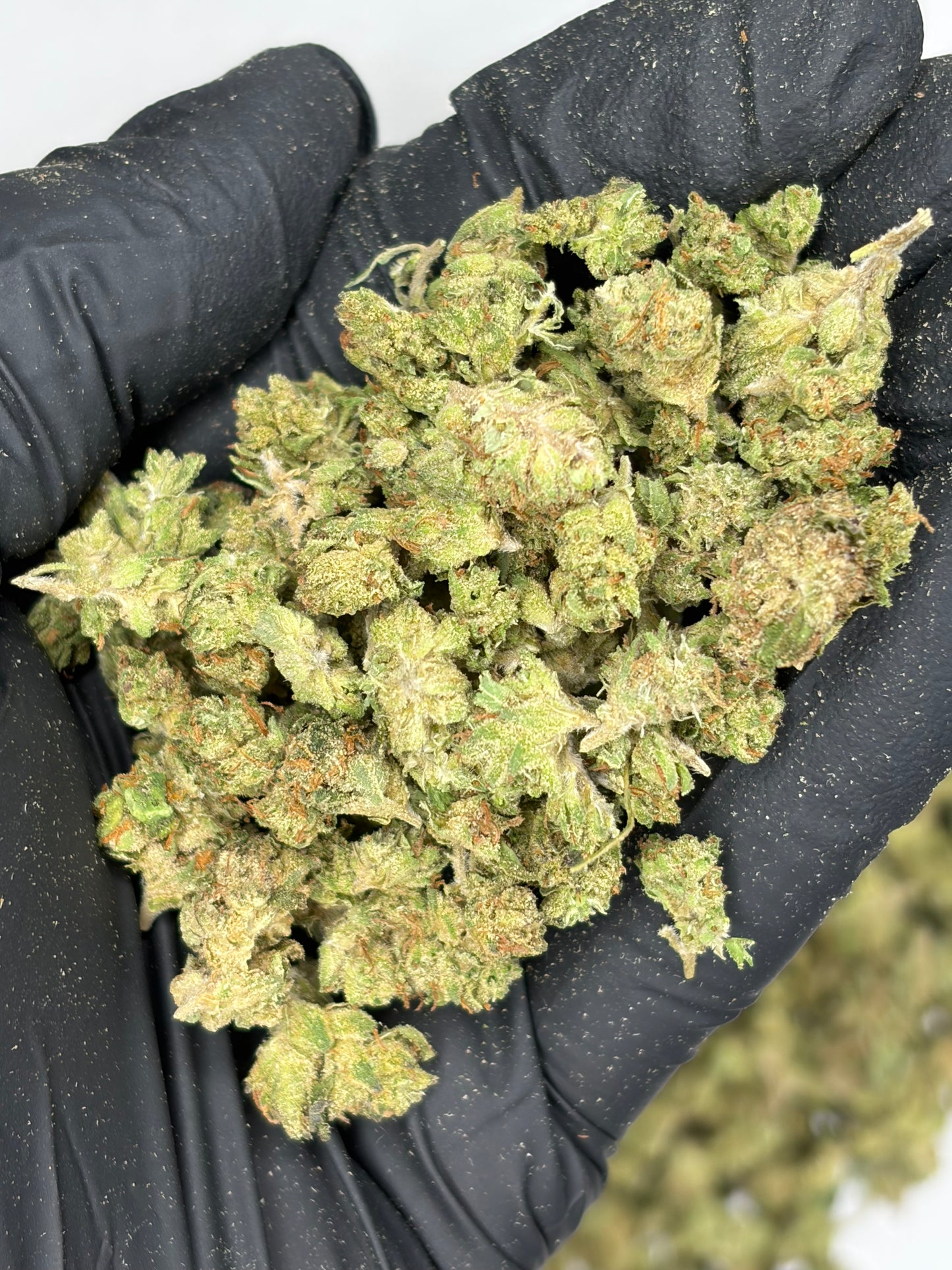 Hashburger Hemp Flower