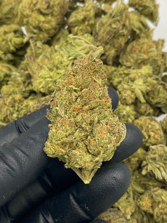 Italian Ice Hemp Flower