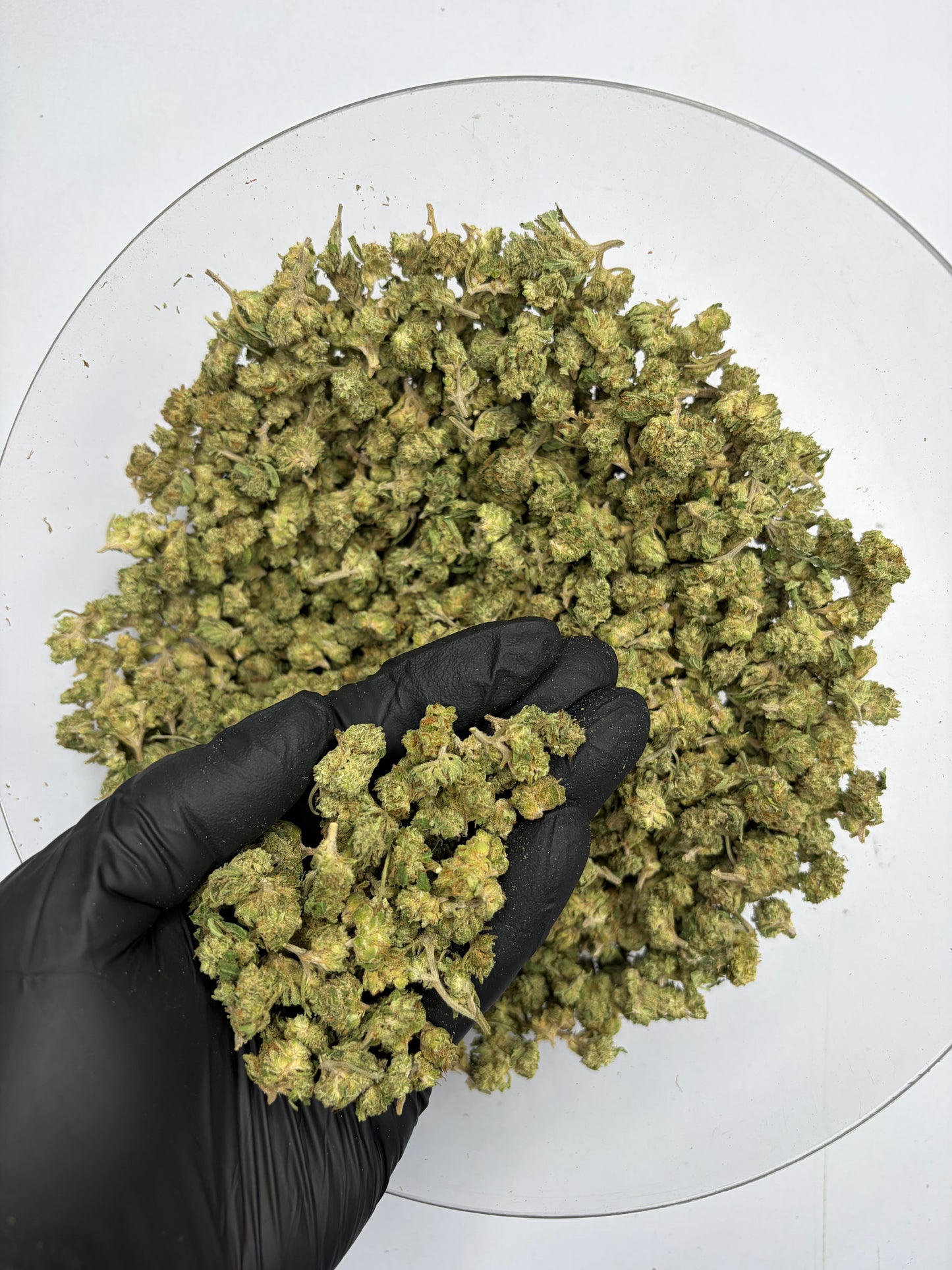 Lemon Drop Hemp Flower