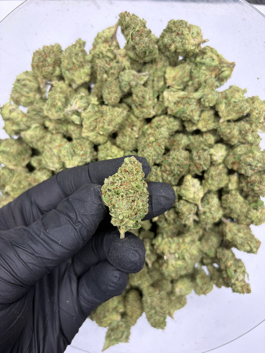 Lemon Venom Hemp Flower