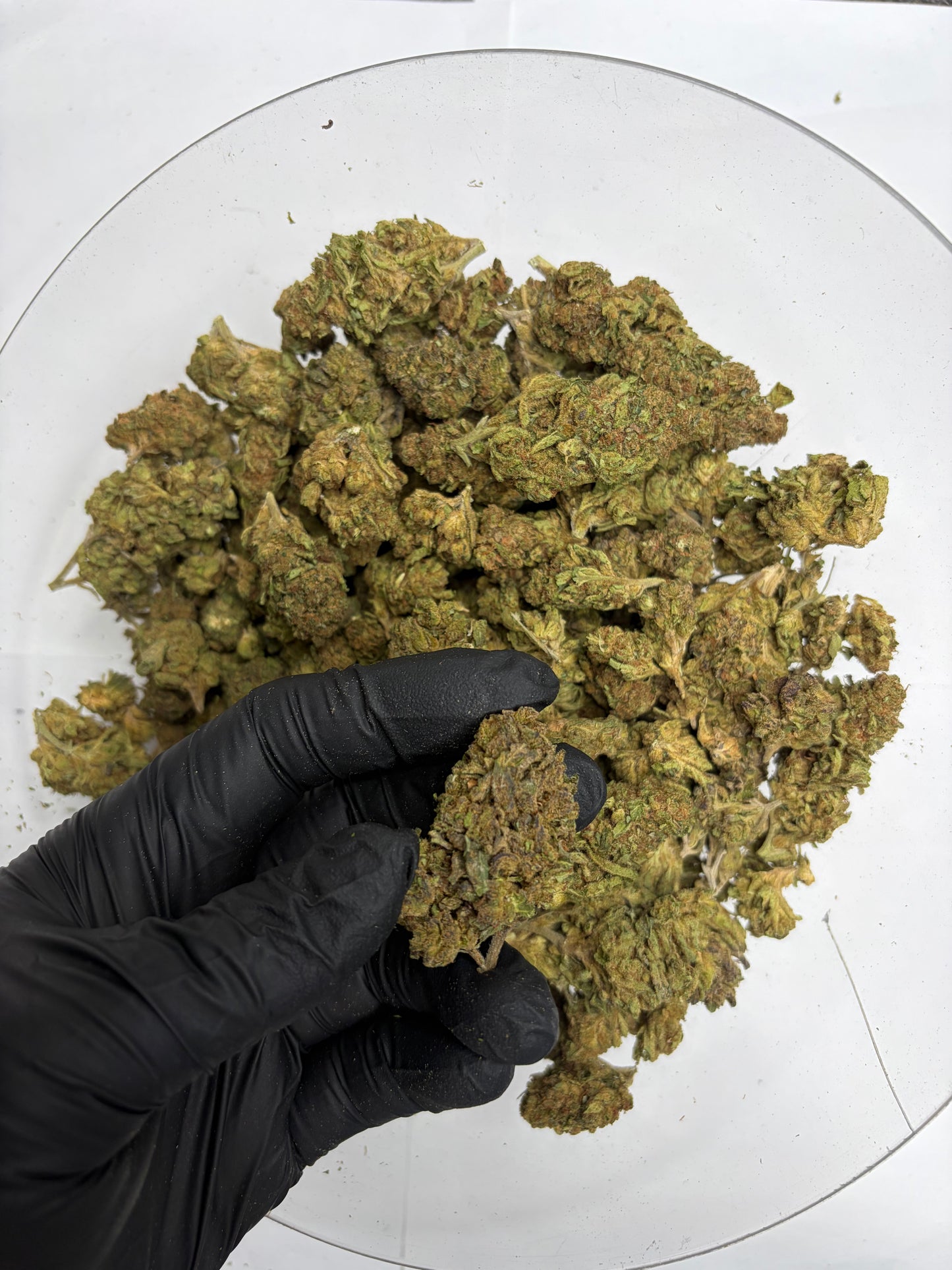 Life Star Hemp Flower