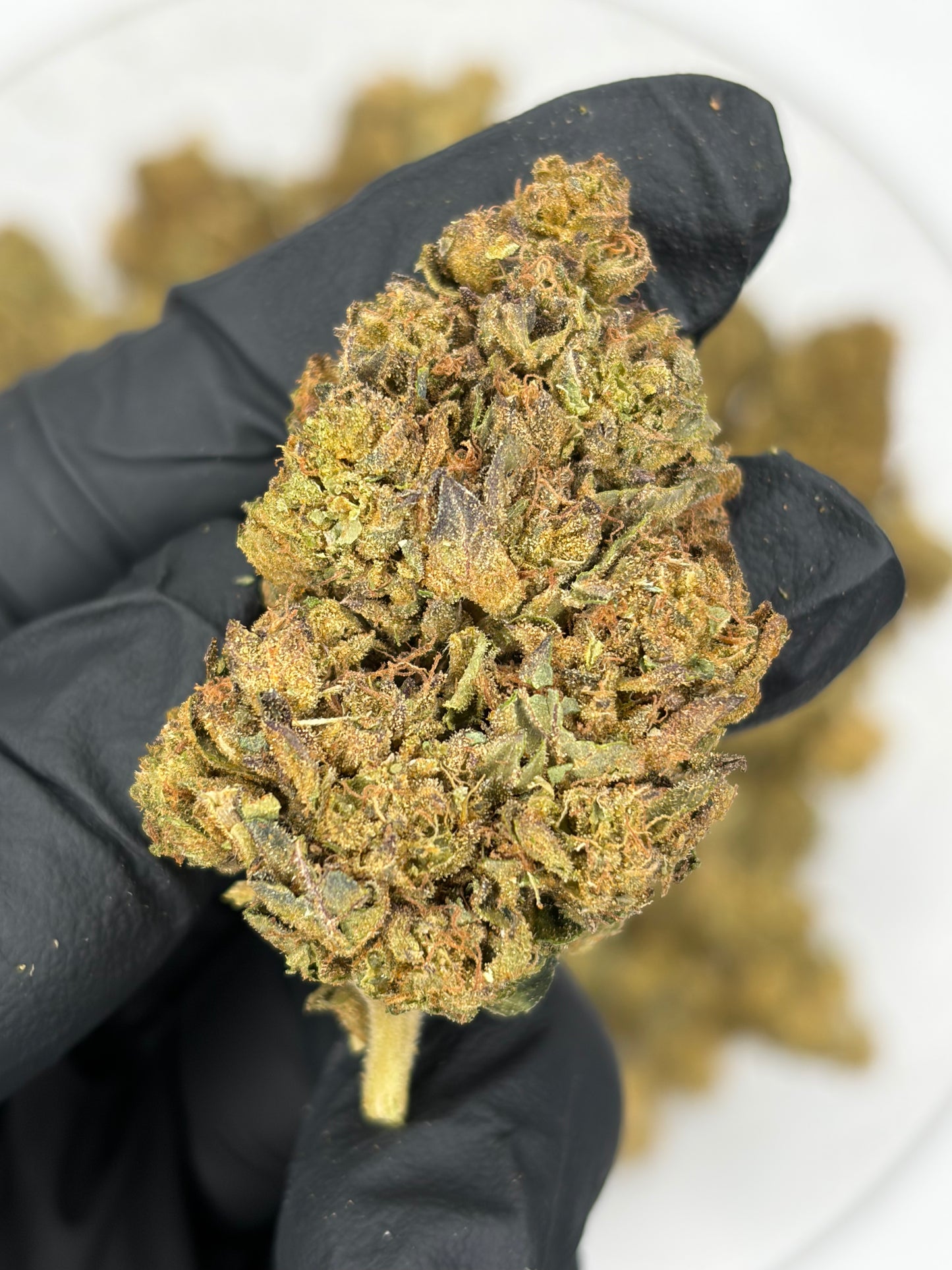 Modified Cherries Hemp Flower