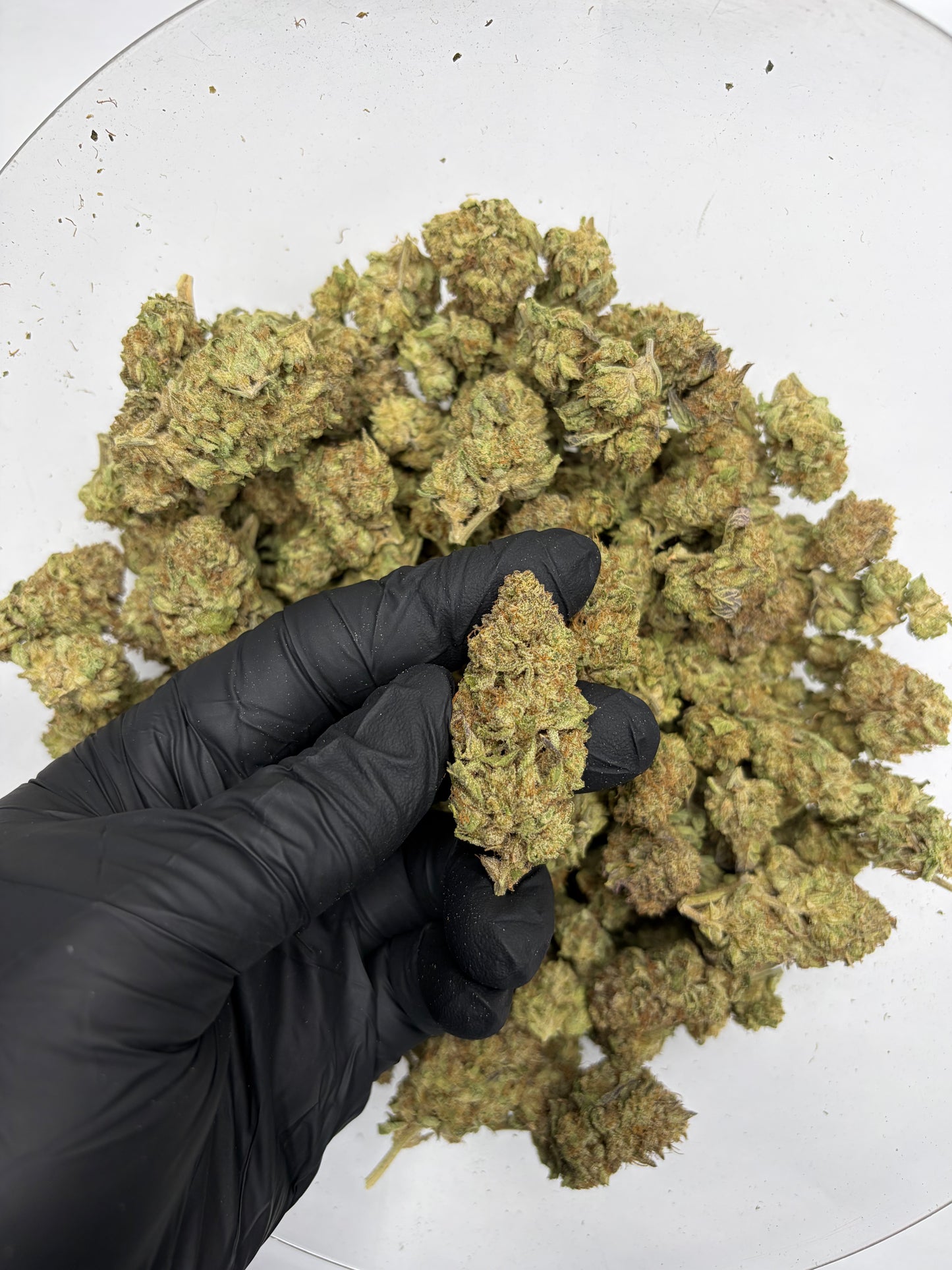 Project LCG Hemp Flower