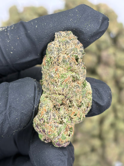 Rocket Candy Hemp Flower