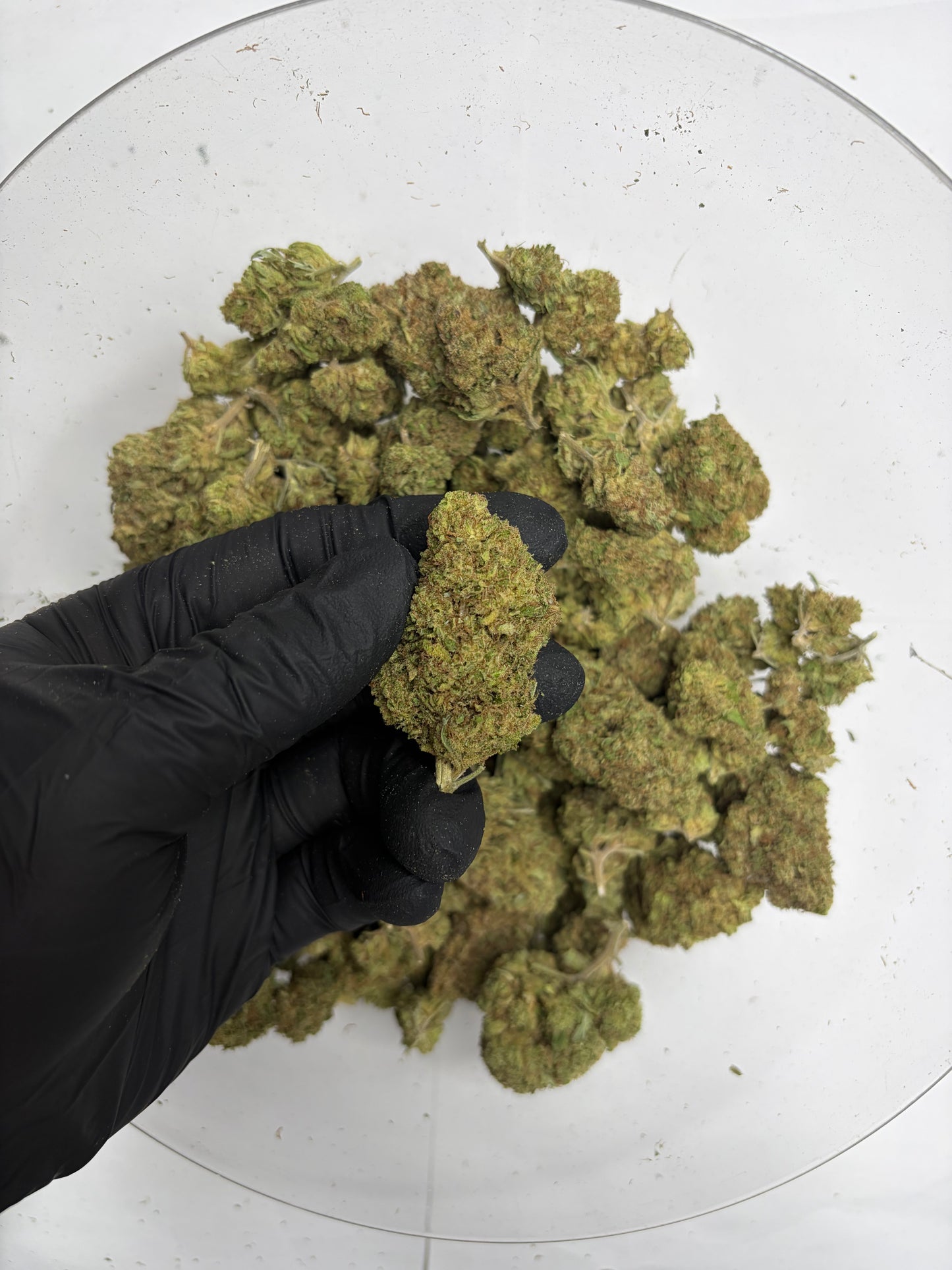 Space Candy Hemp Flower