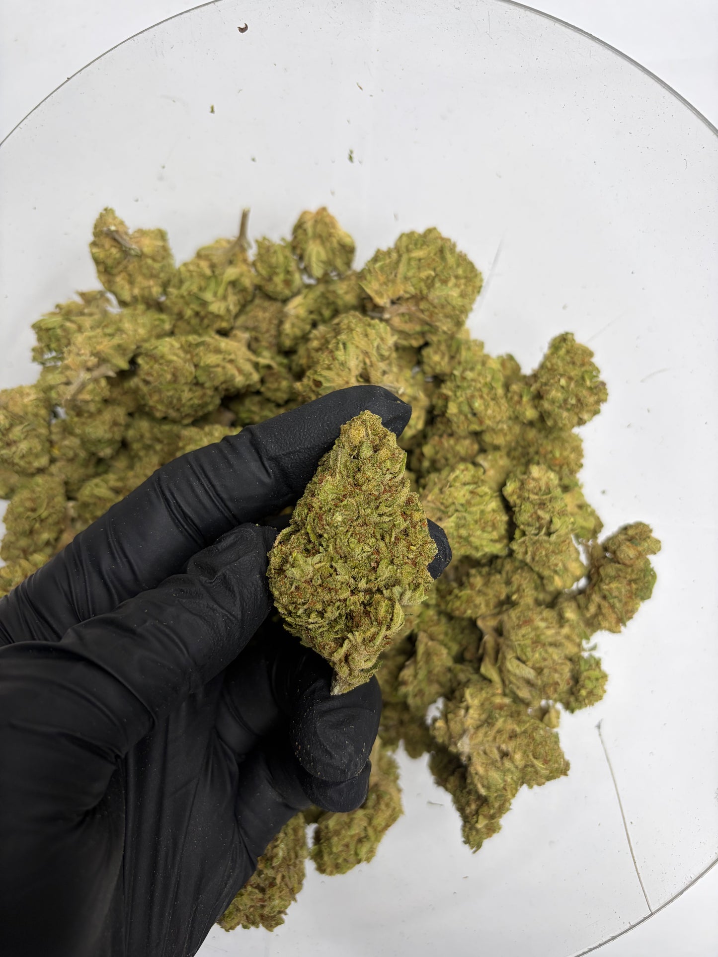 Tahoe OG Hemp Flower