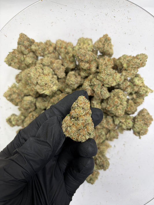 White Truffle Hemp Flower