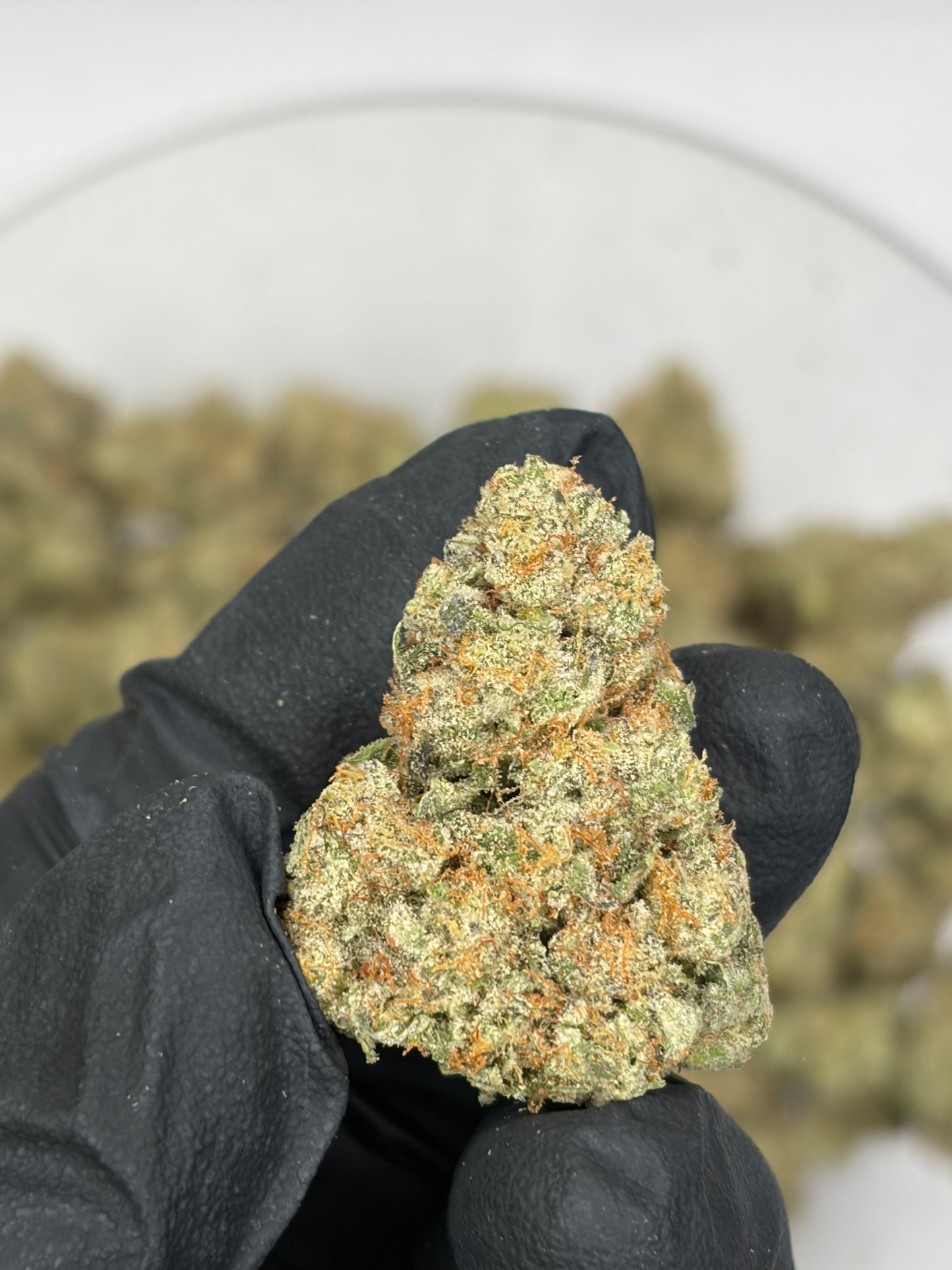 White Truffle Hemp Flower