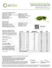 Load image into Gallery viewer, Blue Genius Premium CBD Flower