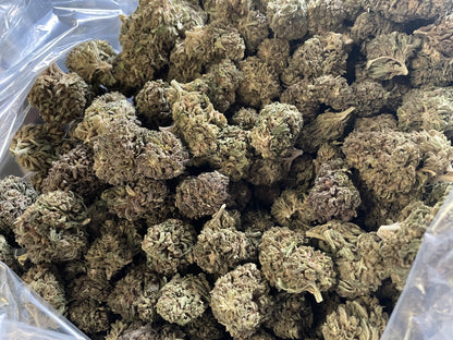 BULK CALIFORNIA KUSH HEMP FLOWER