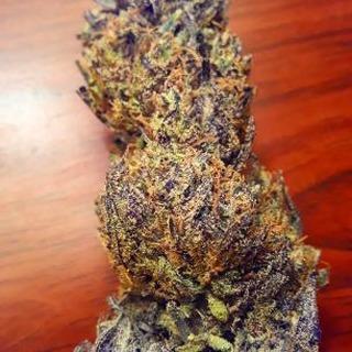 ELEKTRA PREMIUM INDOOR CBD FLOWER