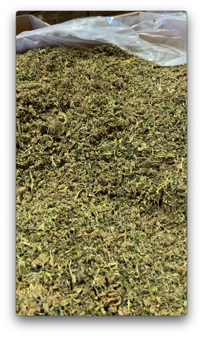 Bulk Hemp Biomass